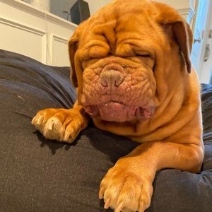 Meet your Posher, Ryan